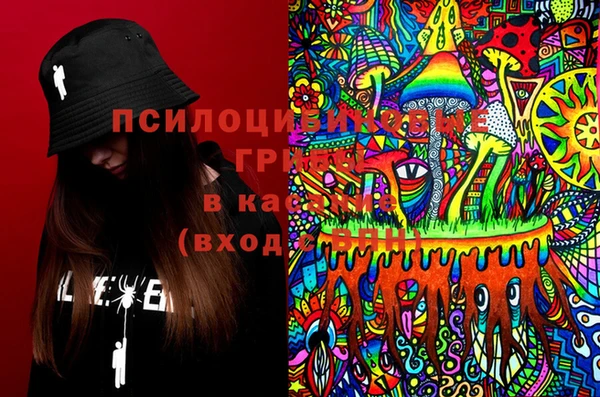 гидропоника Новодвинск